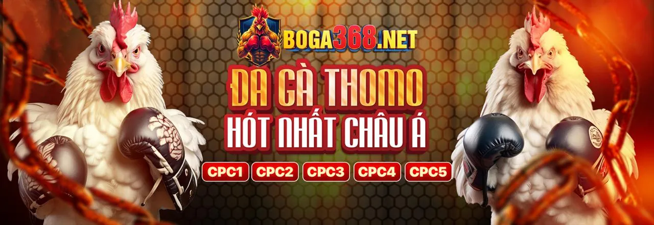 Đá Gà Trực Tuyến Hấp Dẫn tại dabet88 login